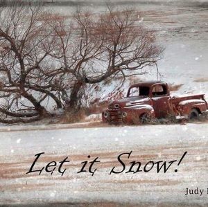 Meet your Posher, Judy